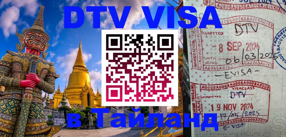 Оформление DTV визы под ключ: стоимость и тарифы, только загранпаспорт - Димитровград 